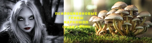 молекула духа Краснотурьинск