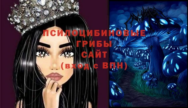 бутират Краснослободск