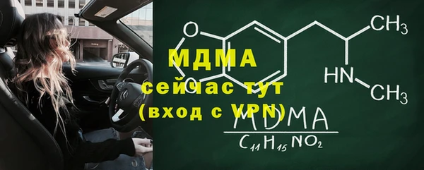 индика Корсаков