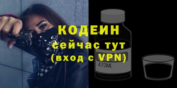 индика Корсаков