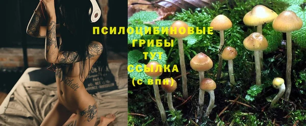 индика Корсаков