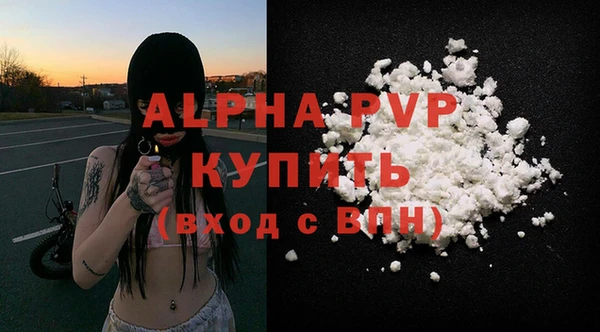 бошки Коряжма