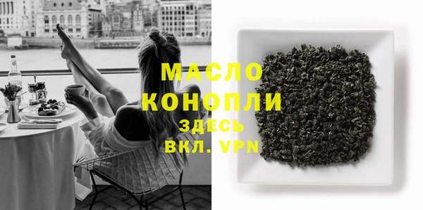 индика Корсаков