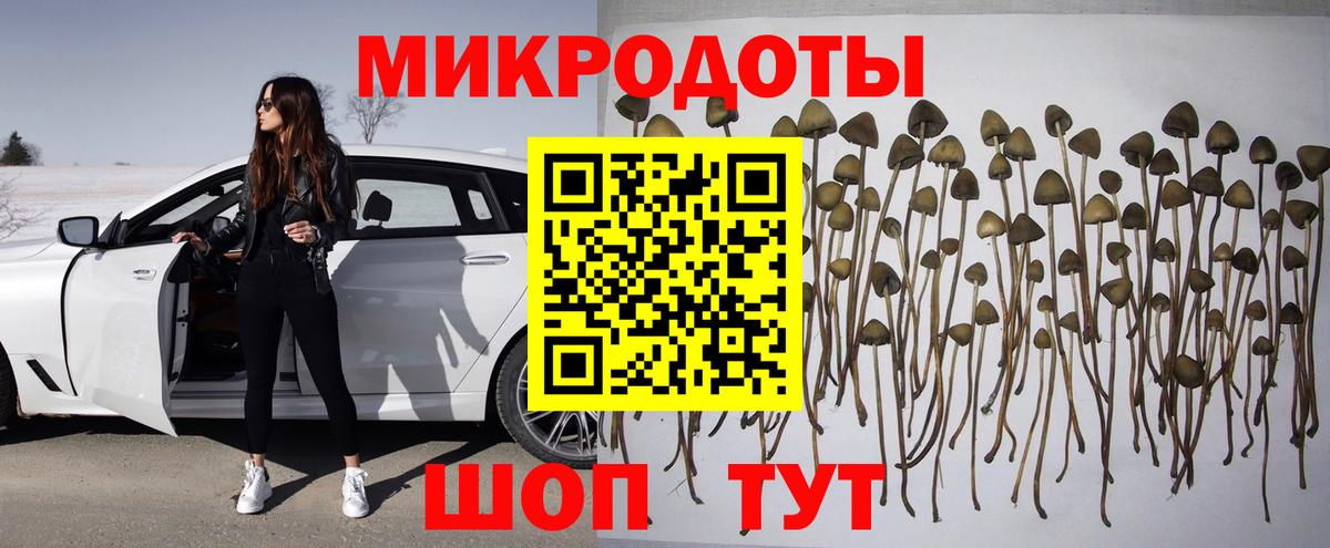 Галлюциногенные грибы Psilocybine cubensis  Вход с VPN  Галлюциногенные грибы Psilocybine cubensis  Красный Сулин 