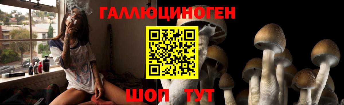 Галлюциногенные грибы Cubensis  где продают   Красный Сулин 